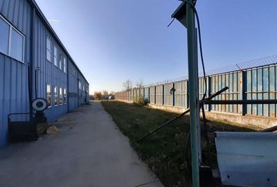 Birouri, hala si teren situate la sosea, zona Magurele, sector 5 - 29