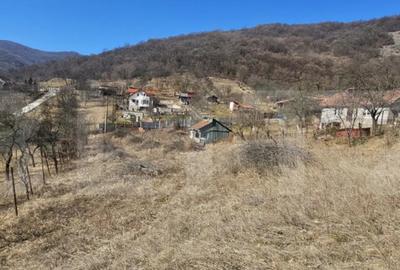 Teren de 1550 mp, în Cetate - 1