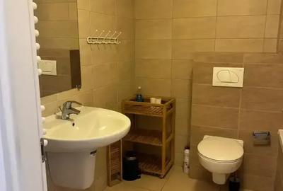 Apartament cu 3 camere semidecomandat, mobilat în Dămăroaia - 14