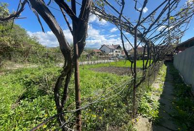 Proprietate in Novaci - langa supermarket Penny - 10