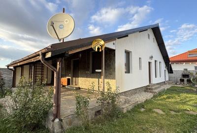 Doua vile individuale in aceeasi curte - 550mp teren - 14