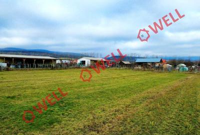 Teren intravilan de vânzare în Arcuș! - 8