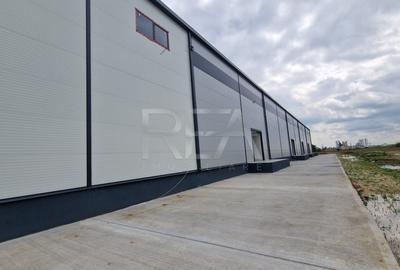 Spațiu industrial, de 1,170 mp, în Cernica - 9