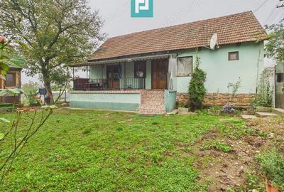 Casa 2 camere la DN7 in Odvos - 2