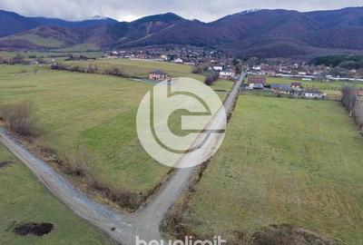 Teren intravilan in Tocile - 4354 m² - 2 fronturi - oferta competitiva - 7