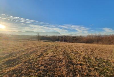 Teren Construcții intravilan de 1370 mp, în Bran - 8