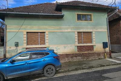 Casă cu 3 camere cu Teren 2500 Mp în Pietroasa - 3