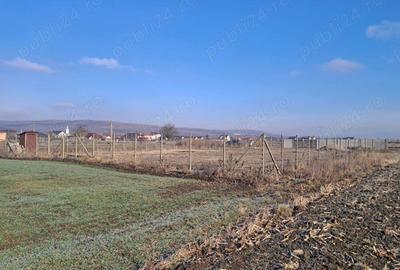 Teren de 8700 mp, în Livada (Iclod) - 5