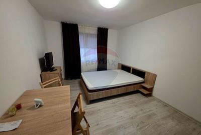 Apartament cu 1 camere de inchiriat in zona 1 Mai - 11