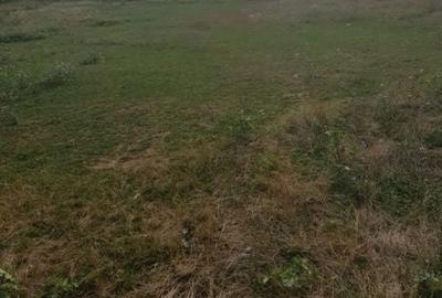 Spațiu comercial, în Liliești - 4