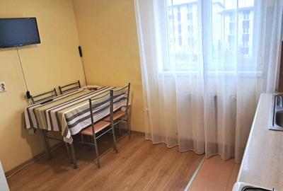 Apartament cu 2 camere decomandat, mobilat în Gușterița - 10