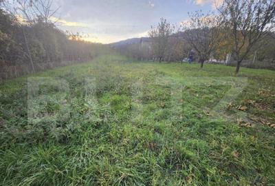 Teren intravilan,561 mp,Petresti - 1