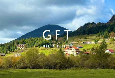 Teren de 6000 mp, în Colibița - 1