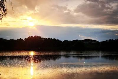 Teren Construcții intravilan de 2770 mp, în Corbeanca - 5