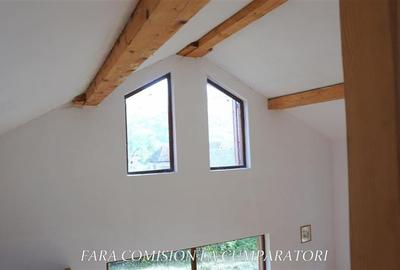 CABANA DE LA MUNTE, UN LOC FERMECATOR - 16