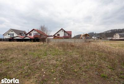 Teren de 627 mp, în Primăverii - 14