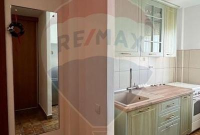 Apartament cu 2 camere semidecomandat, mobilat în Drumul Taberei - 6