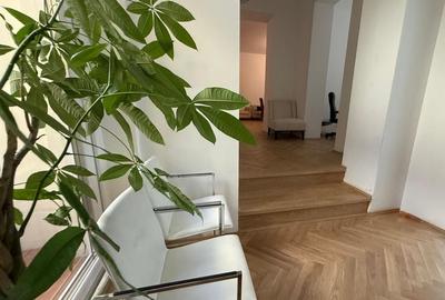 Vilă elegant renovata pentru business de prestigiu - 6