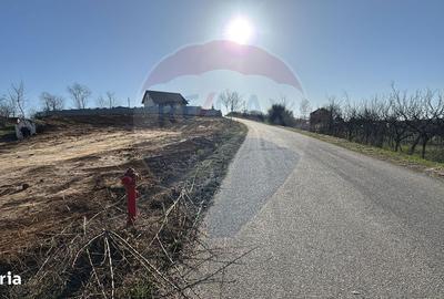 Spațiu comercial, în Tărian