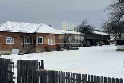 CASA 4 CAMERE TEREN 3038 MP ALBE?TII DE MUSCEL - 3