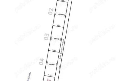 Lot de casa langa DN1, Tancabe?ti Snagov, intrarea Bucharest Golf Club - 1