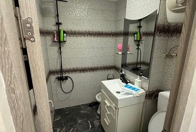 Apartament cu 2 camere decomandat în Teiul Doamnei - 1