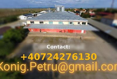 Spațiu comercial, de 13,917 mp, în Vladimirescu - 1