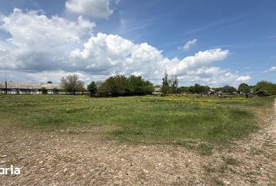 Teren de 22600 mp, în Poșta Câlnău - 2
