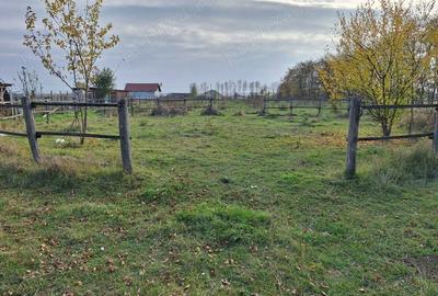 Teren în Oșorhei