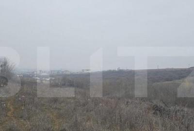 Teren de 10000 mp, în Central - 2