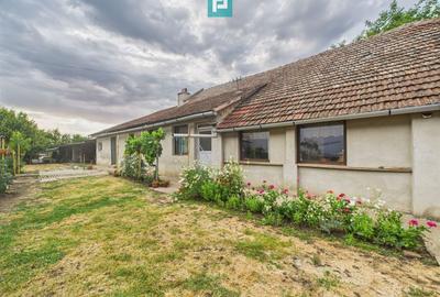 Casă individuală cu 4 camere cu Teren 1989 Mp în Iecea Mare - 16