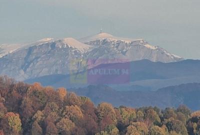 Teren intravilan de vanzare in Telega - 20