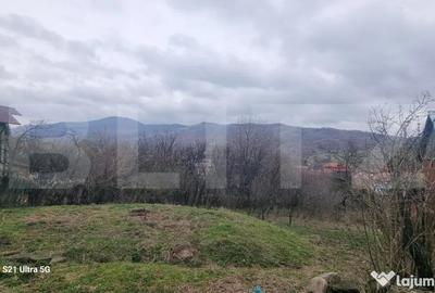 Teren în Schiulești - 3
