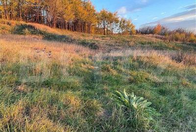 Teren Intravilan 1670 mp, in zona-Copou, Viticultori - 2