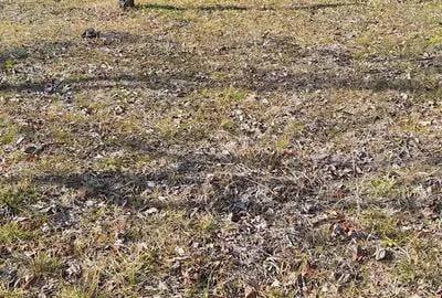 Vand casa + teren 8600 mp Fartatesti, Dozesti, jud Valcea - 4