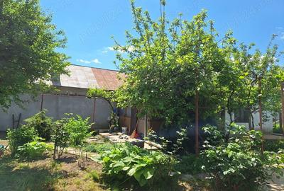 Casă cu 6 camere cu Teren 1668 Mp în Stăncuța - 3