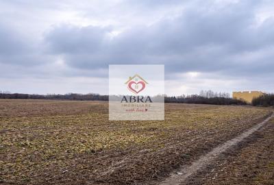 Teren Gruiu Snagov investitie vile - 5