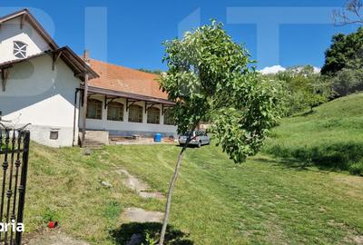 Casă cu 4 camere cu Teren 3166 Mp în Burjuc - 19