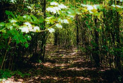 Crevedia, Dambovita - 3