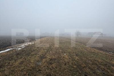 Teren de 2500 mp, în Pătrăuți - 3