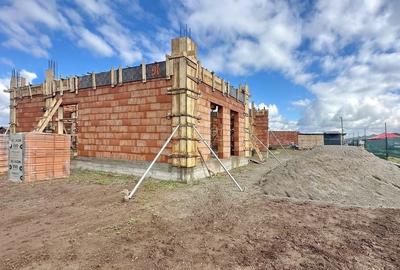 Structura Generoasa Zona Linistita - 20