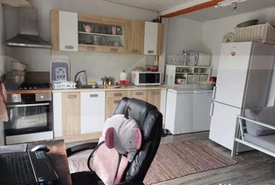 Casă cu 2 camere cu Teren 1800 Mp în Vârfurile - 11