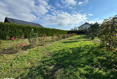 Spațiu comercial, în Vânători - 11