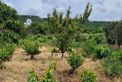 Casă în Valea Nucului - 5