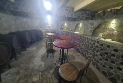 Vila de vanzare in Campina - Zona Lunca Mare - 19