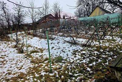 Teren Construcții intravilan de 4516 mp, în Doina - 31