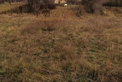 Teren de 734 mp, în Plugova - 2
