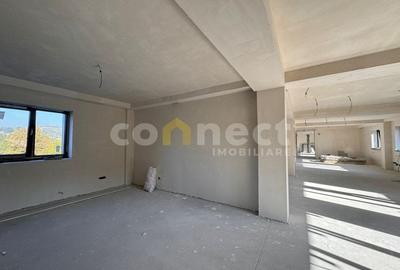 Connect I Spatiu comercial de 300mp de inchiriat in zona Grigorescu - 2