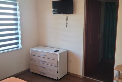 Techirghiol - centru,  vila cu potential turistic D+P+1 - 11