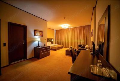 Timisoara, OPORTUNITATE INVESTITIE, hotel, clinica sau azil, 41 camere - 9